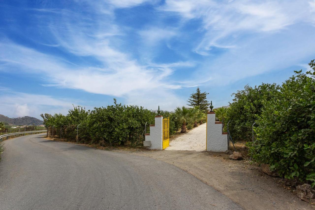 Casa Rural El Polvillar / Piscina Privada 埃尔乔罗 外观 照片