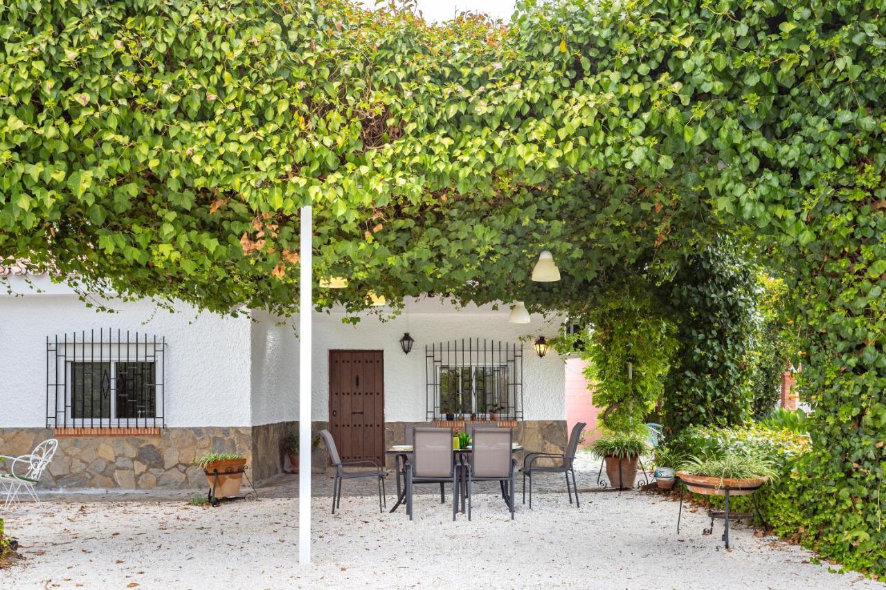 Casa Rural El Polvillar / Piscina Privada 埃尔乔罗 外观 照片